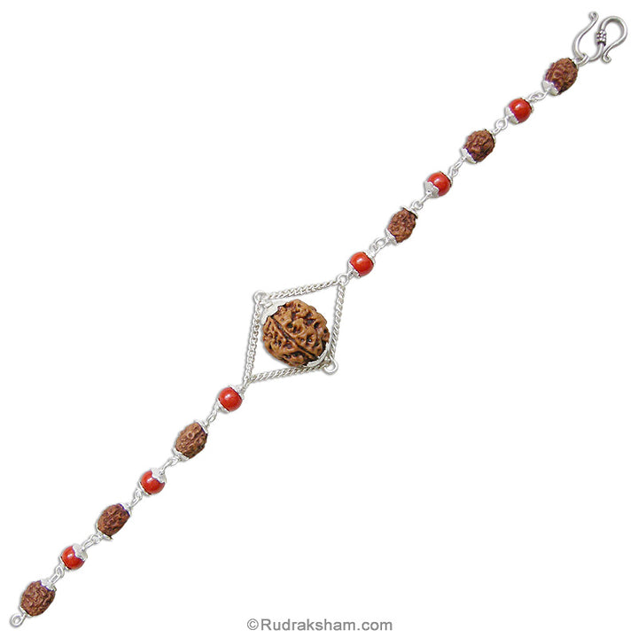 3 Mukhi Rudraksha and Coral Silver Bracelet | Three Mukhi Rudraksha Beads Silver Bracelet | Teen Mukhi Rudraksha & Moonga Beads wrist Bracelet with Silver Caps
