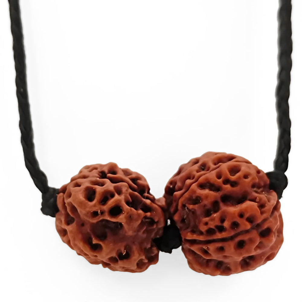 Pisces (Meen) Wisdom & Protection Bundle - 5 & 3 Mukhi Rudraksha