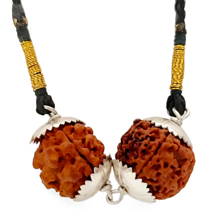 Pisces (Meen) Wisdom & Protection Bundle - 5 & 3 Mukhi Rudraksha