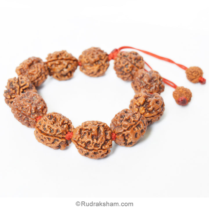3 Mukhi Rudraksha Bead Mala Bracelet | Nepal Three Mukhi Rudraksha Thread Bracelet for Planet Mars | Eleven Beads of 3 Mukhi