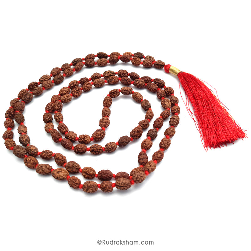 3 Mukhi Rudraksha Indonesian Beads Japa Mala | 108 Beads Java Three Mukhi Rudraksha Kantha Mala | Teen Mukhi Mala Rosary
