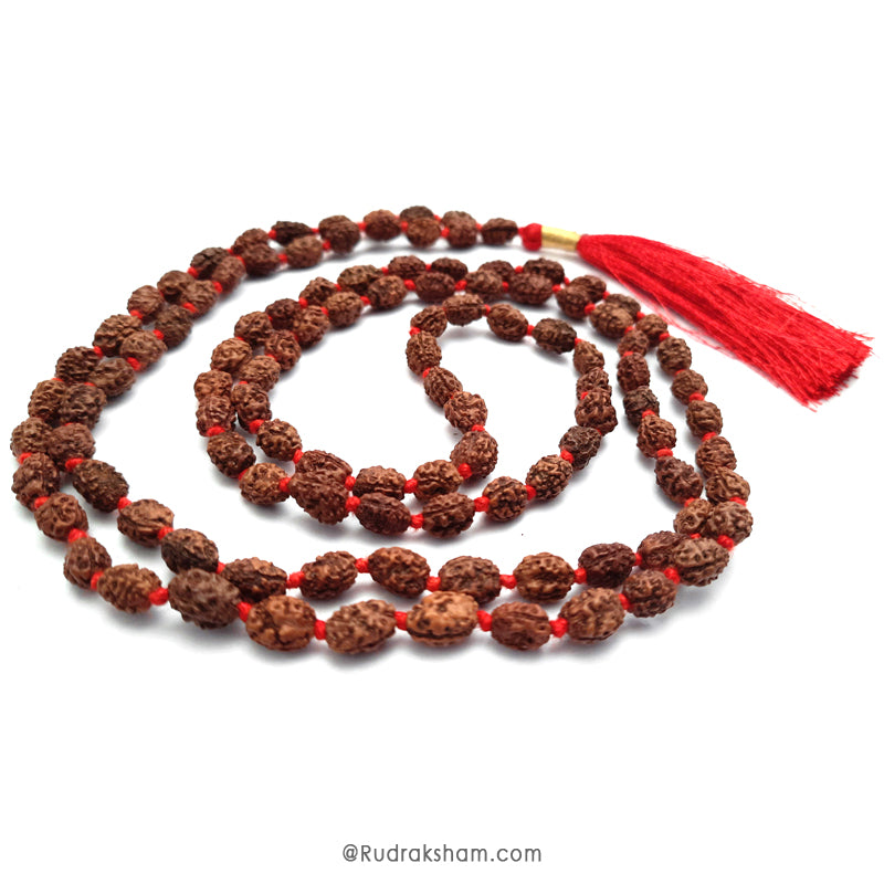Vishaka Arts 3 Mukhi Certificato Indonesiano Rudraksha Mala 54 Perle In Argento (7Mm-9Mm) Lab Vishaka Arts 3 Mukhi Certificato Indonesiano Rudraksha Mala 54 Perle In Argento (7Mm-9Mm) Lab