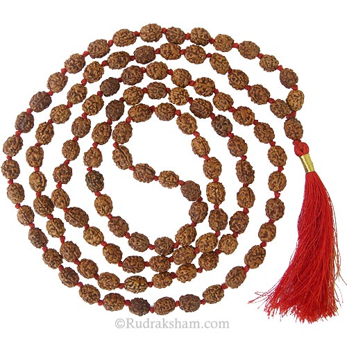  3 Mukhi Rudraksha Indonesian Beads Japa Mala | 108 Beads Java Three Mukhi Rudraksha Beads Kantha Mala | Teen Mukhi Mala Rosary
