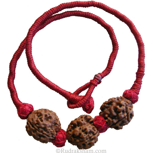 3 Mukhi Rudraksha Bead Triple Pendant In Thread | Three Mukhi