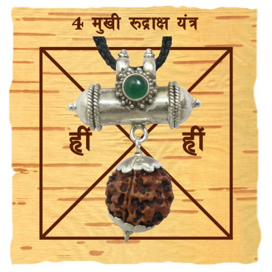 4 Mukhi Rudraksha Bead | 4 Faced Rudraksha From Nepal Buy Original & Genuine Beads Char Mukhi