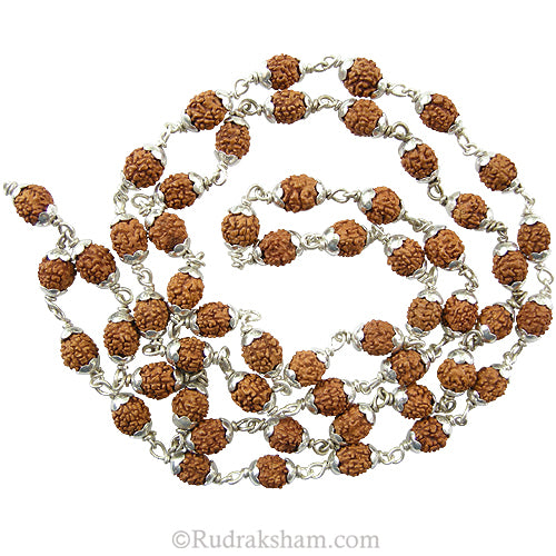 4 Mukhi Indonesian Rudraksha Beads Mala Necklace | Energised 54 Beads Java Four Mukhi Silver Caps Mala Rosary | To Pacify Planet Mercury 