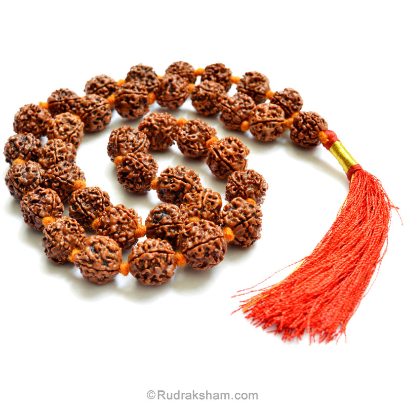  4 Mukhi Rudraksha Nepalese Mala in Thread | Four Mukhi Beads Mala Necklace | Rosary for Mercury