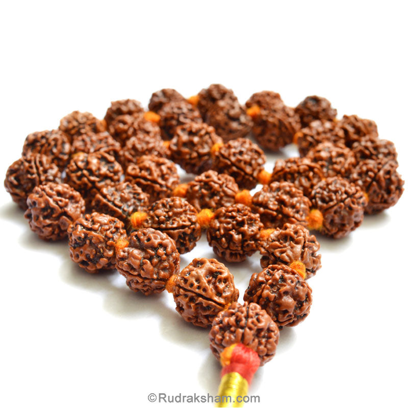  4 Mukhi Rudraksha Nepalese Mala in Thread | Four Mukhi Beads Mala Necklace | Rosary for Mercury