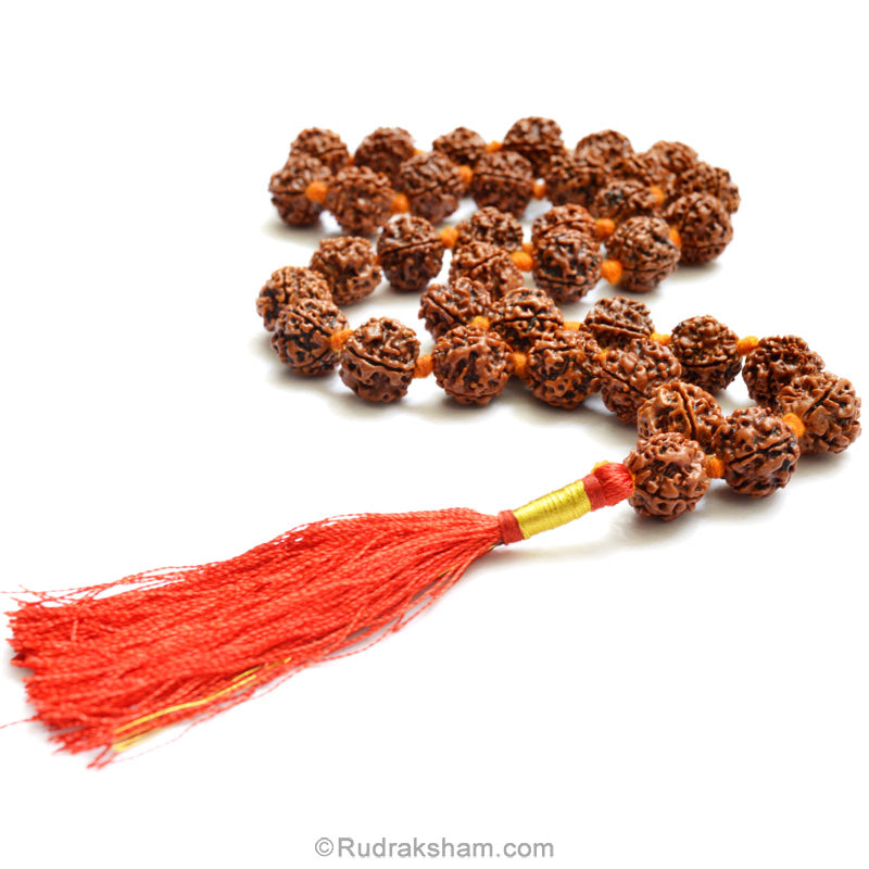  4 Mukhi Rudraksha Nepalese Mala in Thread | Four Mukhi Beads Mala Necklace | Rosary for Mercury