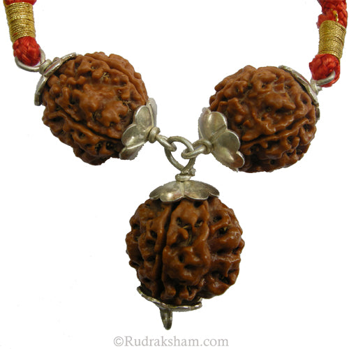 4 Mukhi Rudraksha Bead Triple Pendant in Silver | Four Mukhi