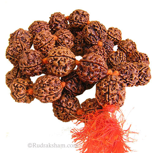  4 Mukhi Rudraksha Nepalese Mala in Thread | Four Mukhi Beads Mala Necklace | Rosary for Mercury