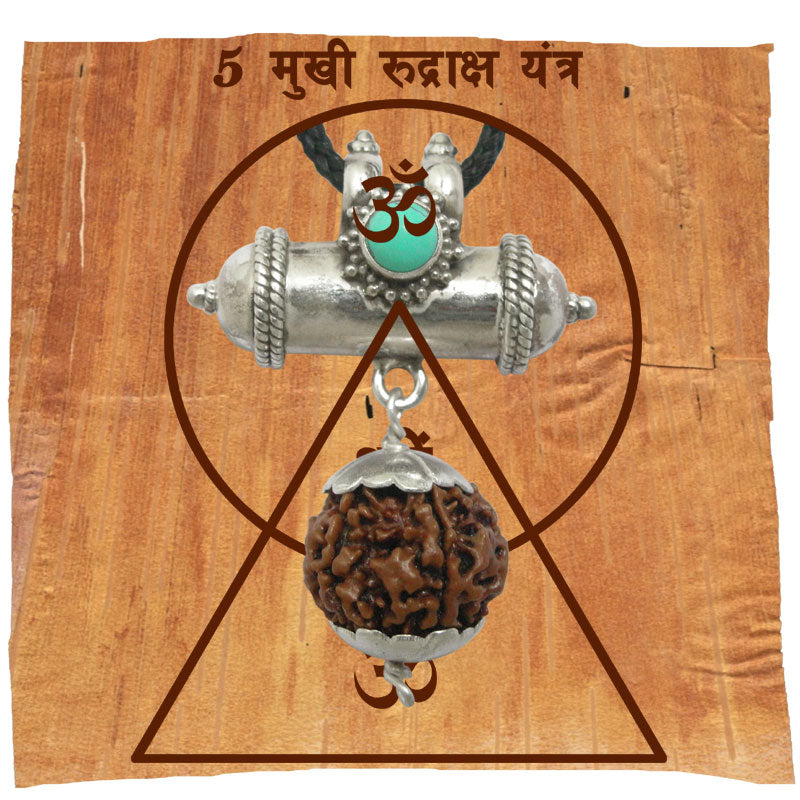 5 Mukhi Rudraksha Yantra Kavach - Five Mukhi Rudraksha Yantra On Bhoj Patra | Collector 5 Mukhi Rudraksha Bead Pendant | Original and Pure 5 Faced Nepal Bead Paanch Mukhi