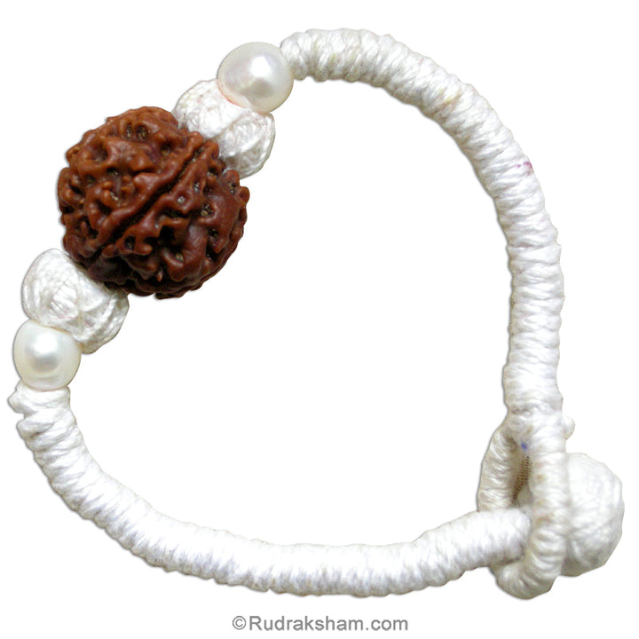 5 Mukhi Collector with Pearl Wrist Band