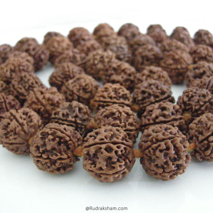 5 Mukhi Rudraksha Nepalese Japa Mala |  Nepal Rudraksha Beads Handknotted Kantha Mala In Thread 20mm - 22 mm