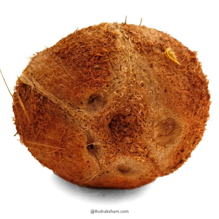 Five Eye Coconut Nariyal