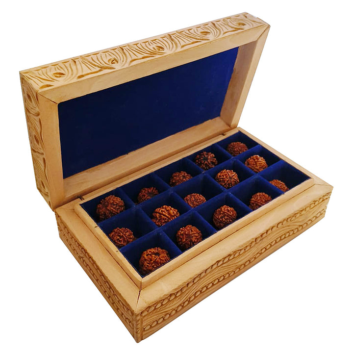 Ek Mukhi to 14 Mukhi Rudraksha Beads Set Wooden Box with Gauri Shankar Bead | Top Quality High Grade Beads Collectors Item with Box