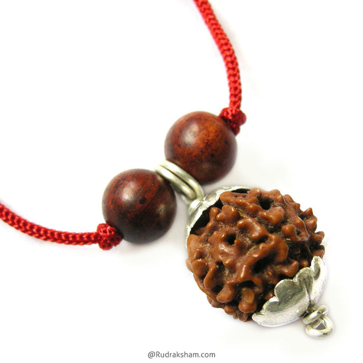   Necklace with Red Sandalwood ( Rakta Chandan ) Beads | Pack of 10 Paanch Mukhi Mala Necklace