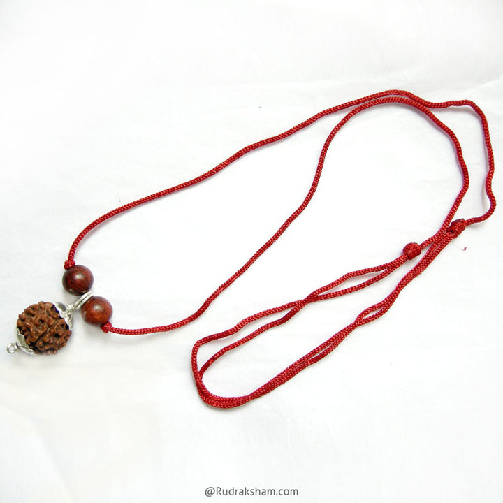 Wholesale Pack - 5 ( Five ) Mukhi Rudraksha Pendant in Copper Caps