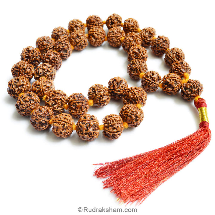  5 Mukhi Rudraksha Nepalese Japa Mala Rosary | 36 Beads Nepal Rudraksha Kantha Mala In Thread