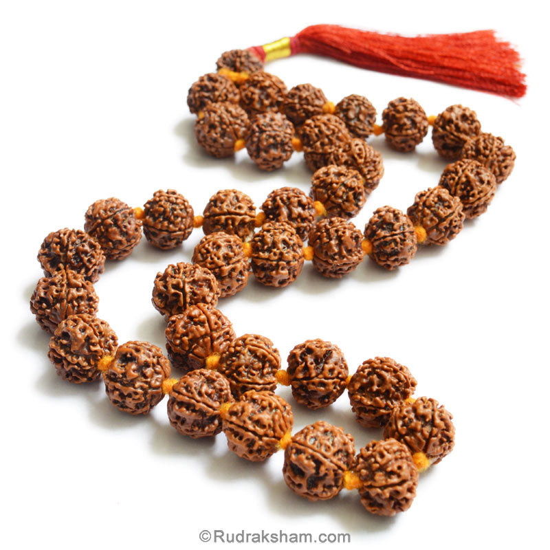  5 Mukhi Rudraksha Nepalese Japa Mala Rosary | 36 Beads Nepal Rudraksha Kantha Mala In Thread