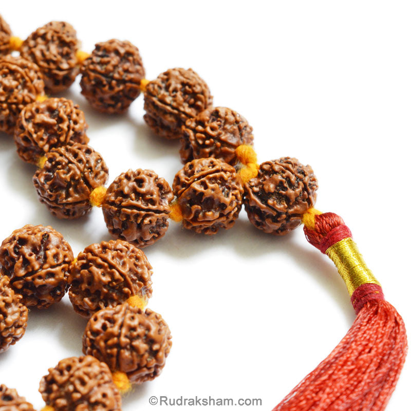 Wonder Care - Collar de cuentas Rudraksha Mala auténtico de 5 caras ( Panchmukhi) Ornamento, rosario con cuentas Japa Mala Puja, para yoga, cuentas de meditación, Madera, Sin gemas Wonder Care - Collar de cuentas Rudraksha Mala auténtico de 5 caras ( Panchmukhi) Ornamento, rosario con cuentas Japa Mala Puja, para yoga, cuentas de meditación, Madera, Sin gemas