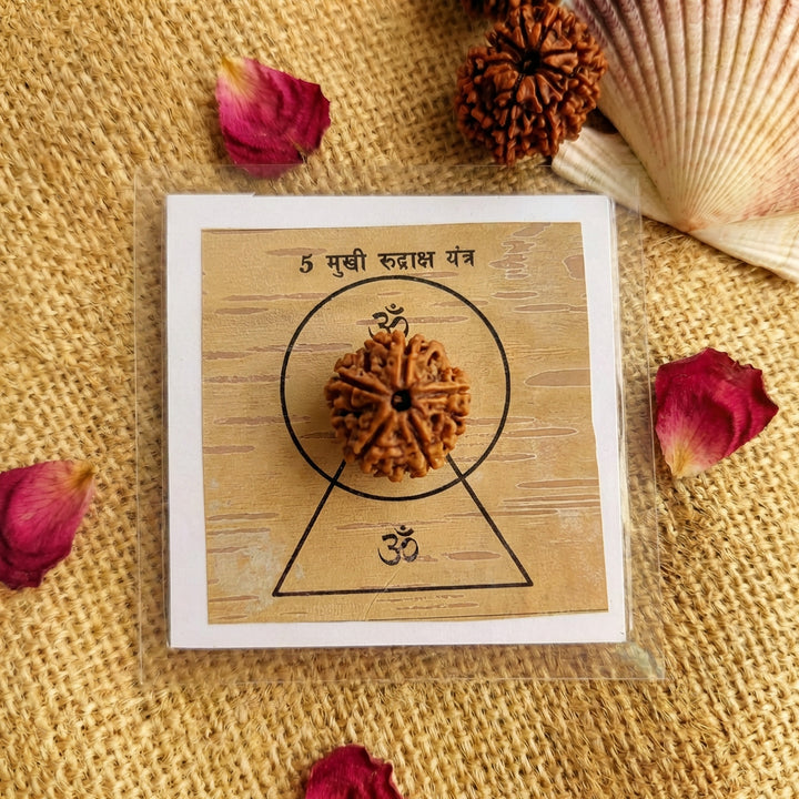 5-Mukhi Rudraksha Yantra Altar – Hand-Inscribed Bhojpatra | Kalagni & Shiva Energy (Pre-Energized)
