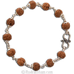 6 Mukhi Rudraksha Bracelet with Silver Caps and Links | Six faced Rudraksha Silver Bracelet | Original & Energised 7mm Beads of 6 / Six Mukhi