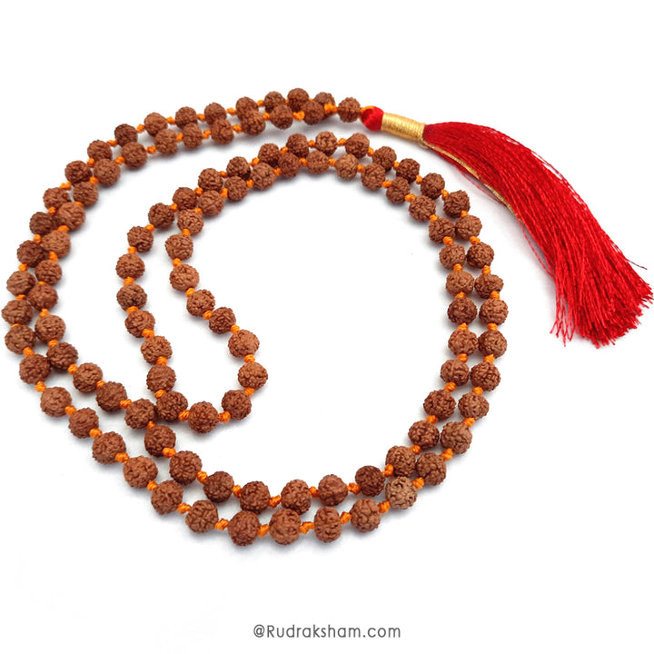 6 Mukhi Rudraksha Indonesian Beads Japa Mala | 108 Beads Java Six Mukhi Rudraksha Beads Mala Rosary | 6 Mukhi Beads for Venus 