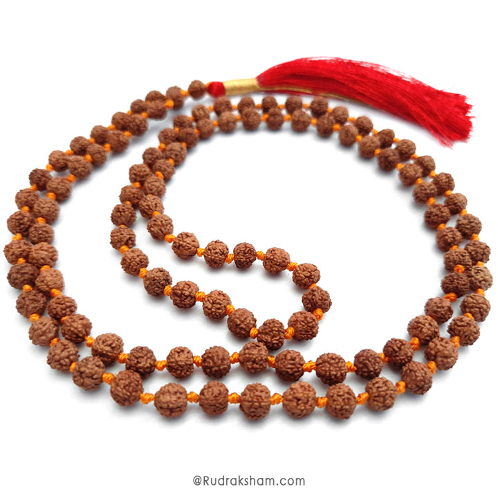 6 Mukhi Rudraksha Indonesian Beads Japa Mala | 108 Beads Java Six Mukhi Rudraksha Beads Mala Rosary | 6 Mukhi Beads for Venus 
