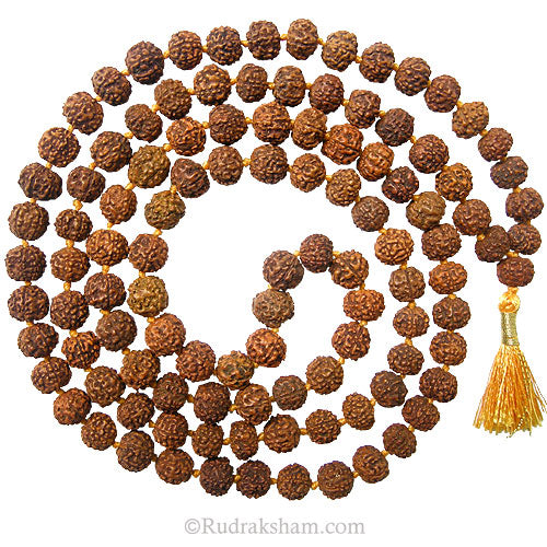 6 Mukhi Rudraksha Indonesian Beads Japa Mala | 108 Beads Java Six Mukhi Rudraksha Beads Mala Rosary | 6 Mukhi Beads for Venus 