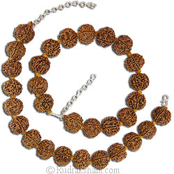 6 Mukhi Rudraksha Armlets with Silver Chain - Pack of 2 | Six Mukhi Rudraksha Beads Armlets | 6 Mukhi Nepal Beads Arm Bracelets | Meditation Bracelets