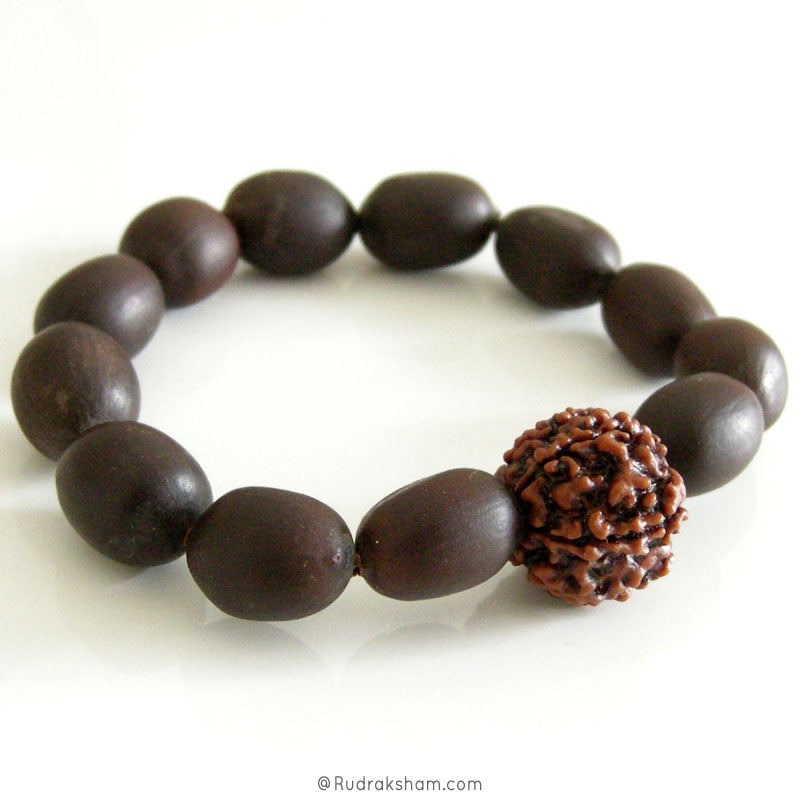 Wholesale Pack of 10  Lotus Seed Beads ( Kamalgatta ) Mala Bracelet with 6 Mukhi Rudraksha Bead | Original Energised Six Faced Nepal Bead Bracelet in Elastic
