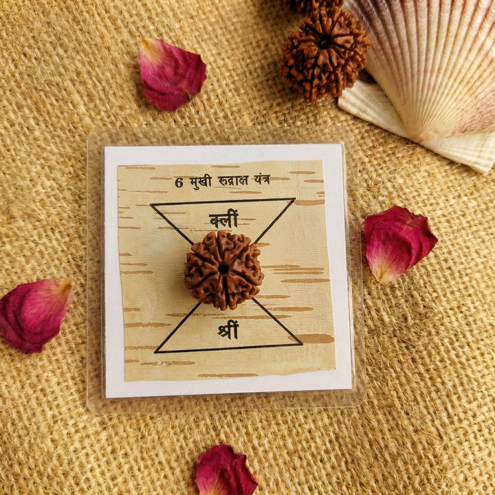 6-Mukhi Rudraksha Yantra Altar – Hand-Inscribed Bhojpatra | Kartikeya Energy (Pre-Energized)