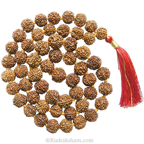  6 Mukhi Rudraksha Nepalese Mala In Thread | Six Mukhi Beads Mala Necklace | 6 Mukhi Rudraksha Mala Benefits