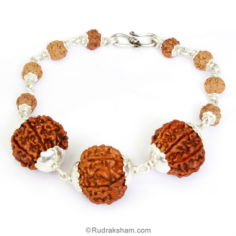 7 Mukhi Rudraksha mala Bracelet in Silver for Saturn | Seven / Saat Mukhi Nepal Rudraksha Beads Bracelet with Silver Caps and Links | Original & Energised 7 Mukhi