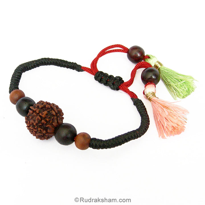 7 Mukhi Sandalwood Band