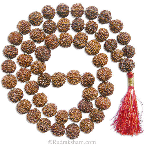 7 Mukhi Rudraksha Beads Kantha Mala Rosary With Silver Ball Spacers | Seven Mukhi Nepal Rudraksha Beads | 54 beads Kantha 