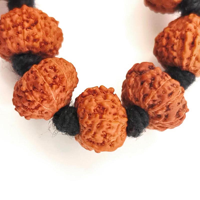 11 MUKHI RUDRAKSHA INDONESIAN BEADS JAPA MALA AND BRACELET SET | 54 BEADS JAVA DUS MUKHI RUDRAKSHA BEADS KANTHA AND 20 BEADS BRACELET SET | 11 MUKHI MALA AND BRCELET SET