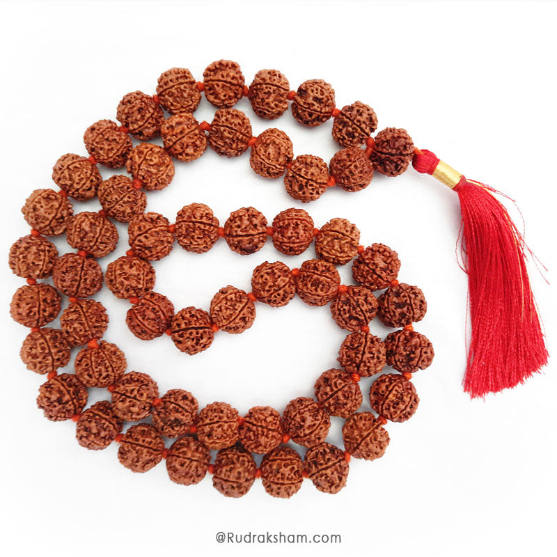 7 Mukhi Rudraksha Nepalese Japa Mala in Thread | 36 Beads Kantha Mala Necklace Seven Mukhi | Meditation Mala Rosary