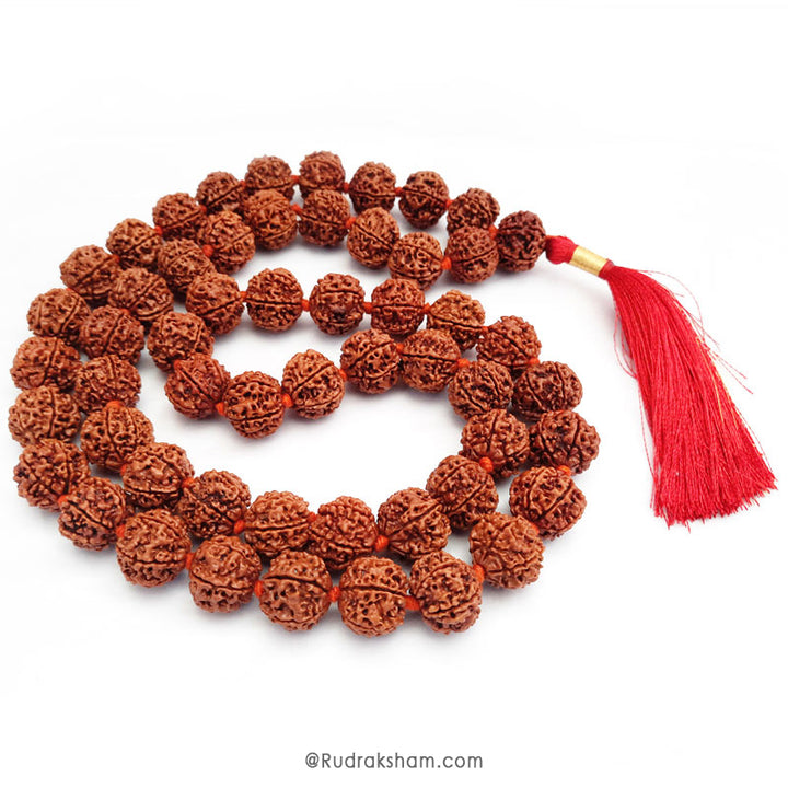  7 Mukhi Rudraksha Nepalese Japa Mala in Thread | 36 Beads Kantha Mala Necklace Seven Mukhi | Meditation Mala Rosary
