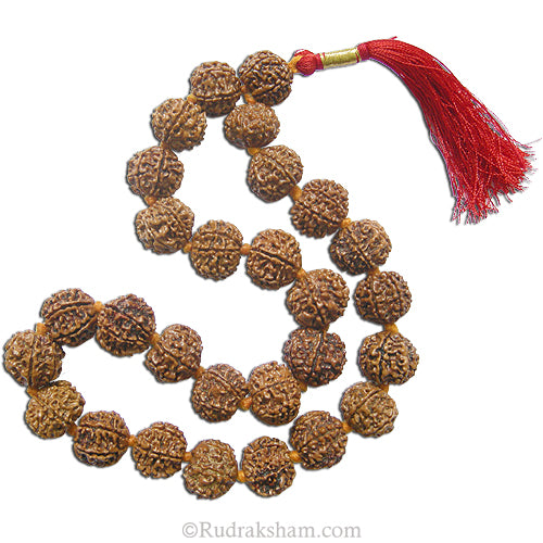  7 Mukhi Japa Mala