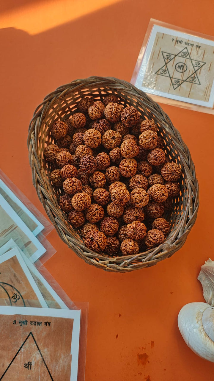 7-Mukhi Rudraksha Yantra Altar – Hand-Inscribed Bhojpatra | Mahalakshmi Energy (Pre-Energized)