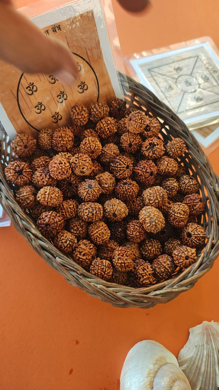 8-Mukhi Rudraksha Yantra Altar – Hand-Inscribed Bhojpatra | Ganesha Energy (Pre-Energized)