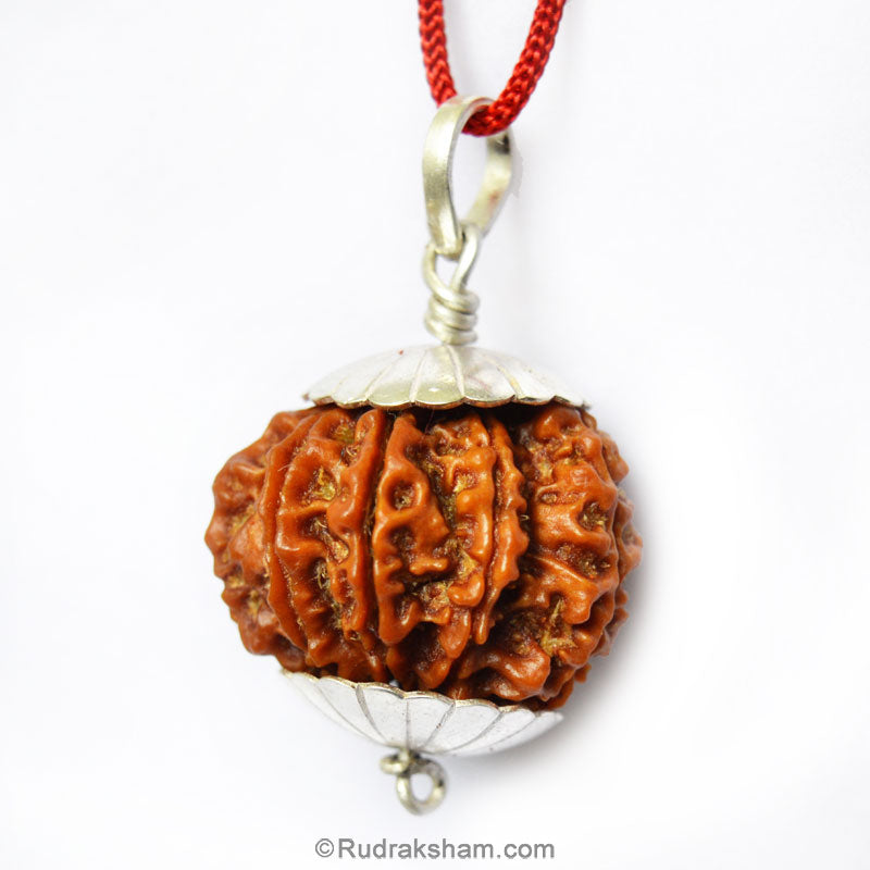 Collector 9 Mukhi Rudraksha Pendant in Silver Caps | Benefits of 9 Mukhi Pendant