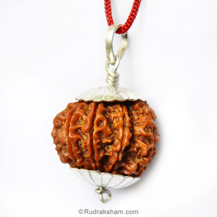 Collector 9 Mukhi Rudraksha Pendant in Silver Caps | Benefits of 9 Mukhi Pendant