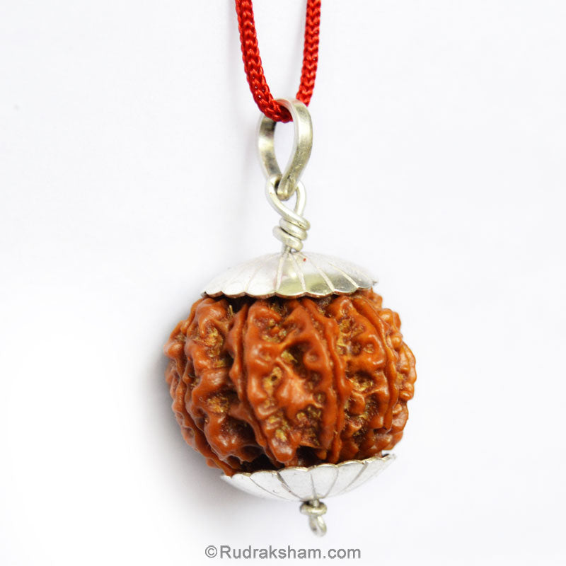  Energised and Original Nine Mukhi Rudraksha Pendant from Nepal
