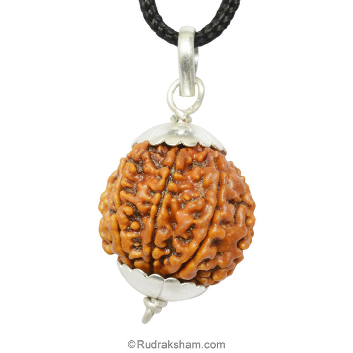Collector 9 Mukhi Rudraksha Pendant in Silver Caps | Benefits of 9 Mukhi Pendant