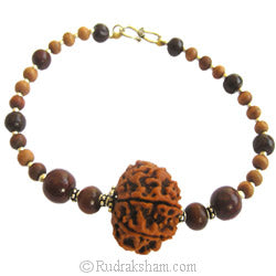 9 Mukhi Rudraksha Armlet | Nine ( Nau ) Mukhi Nepal Bead Armlet with Red and White Sandalwood Beads and Silver accessories | Natural and Energised 9 Mukhi Arm Bracelet