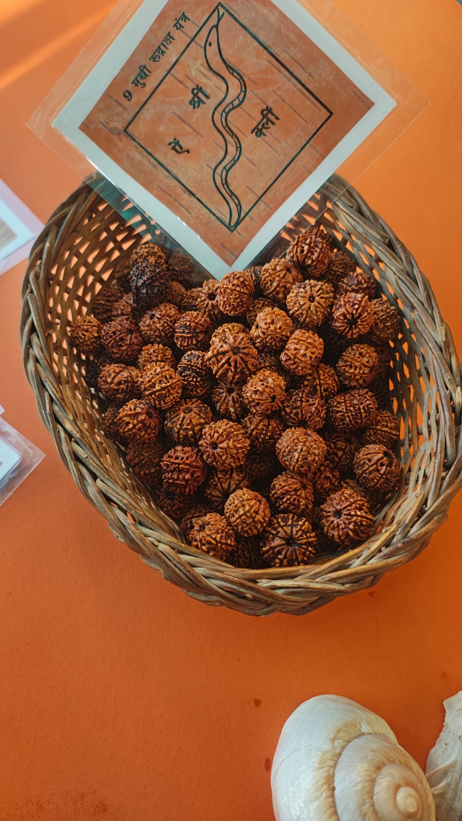 9-Mukhi Rudraksha Yantra Altar – Hand-Inscribed Bhojpatra | Durga Energy (Pre-Energized)