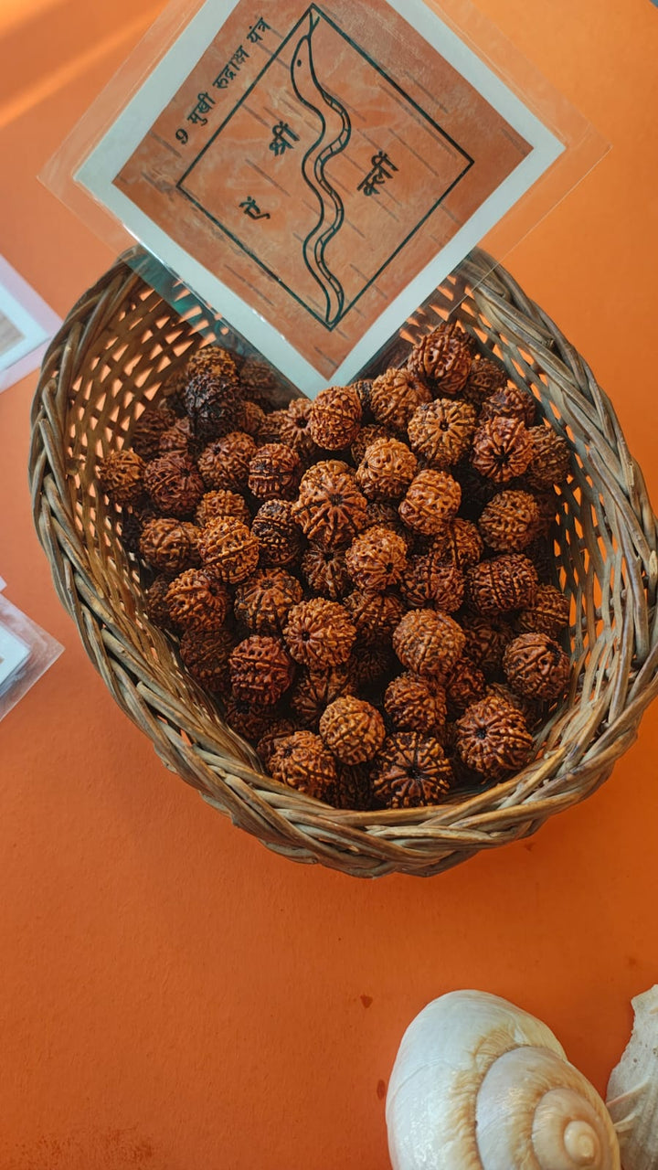 9-Mukhi Rudraksha Yantra Altar – Hand-Inscribed Bhojpatra | Durga Energy (Pre-Energized)